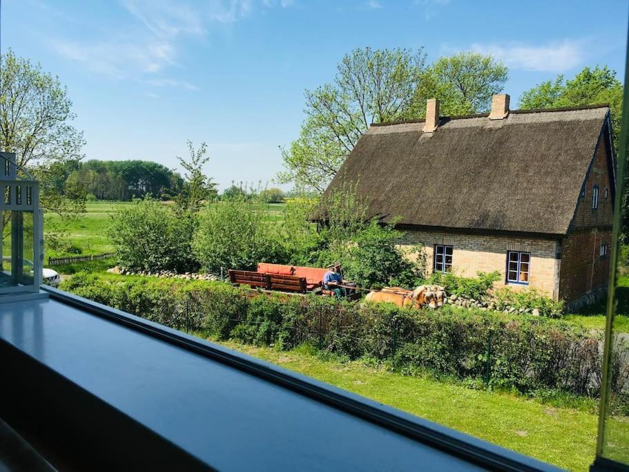 Ferienwohnung Workation Auf Ruegen Ummanz Exterior foto